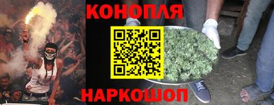 крисы Нальчик