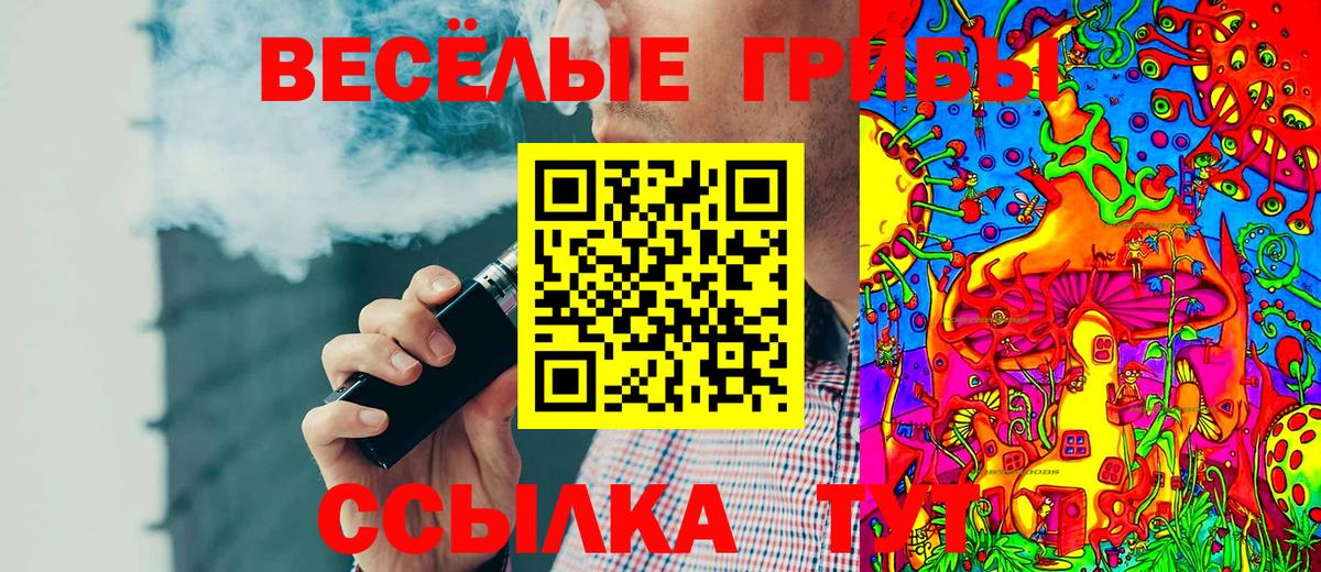 Псилоцибиновые грибы Psilocybine cubensis  Вход с VPN  Сосновоборск 