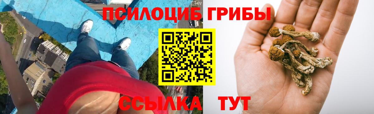 Псилоцибиновые грибы ЛСД Сосновоборск